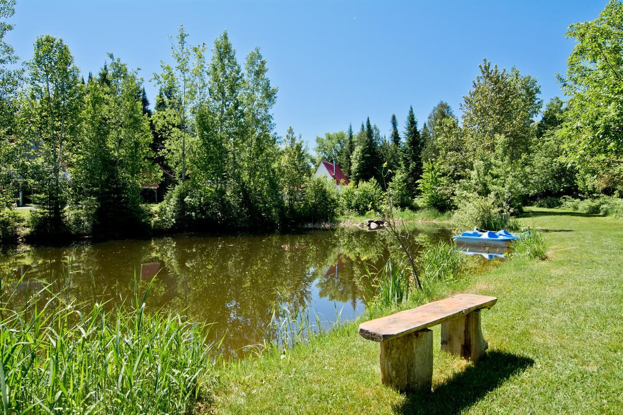 Camping Chalets Spas Pignons Rouges Saint Romain Esterno foto