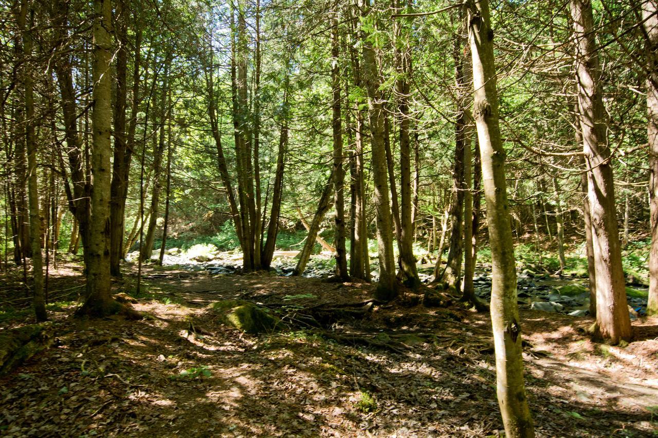 Camping Chalets Spas Pignons Rouges Saint Romain Esterno foto