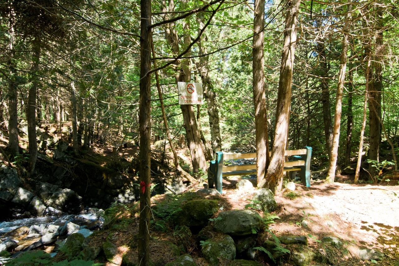 Camping Chalets Spas Pignons Rouges Saint Romain Esterno foto